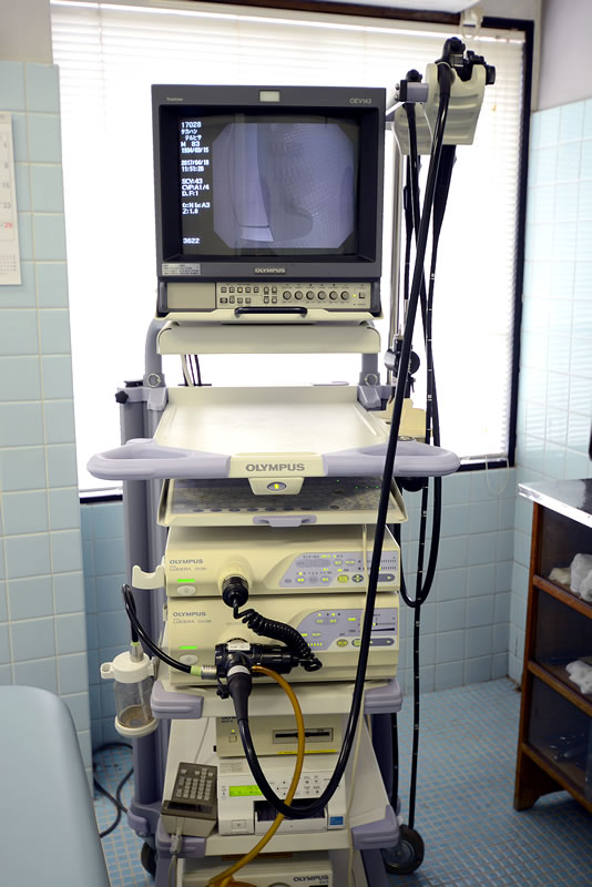 【内視鏡検査装置】